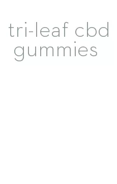 tri-leaf cbd gummies