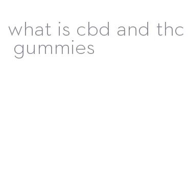 what is cbd and thc gummies