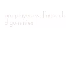 pro players wellness cbd gummies