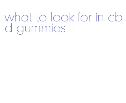 what to look for in cbd gummies