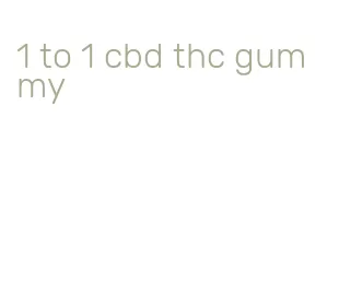 1 to 1 cbd thc gummy