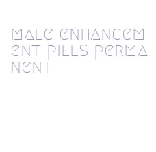male enhancement pills permanent