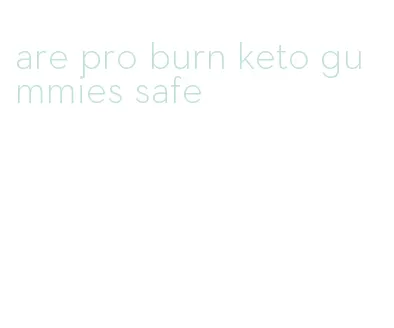 are pro burn keto gummies safe