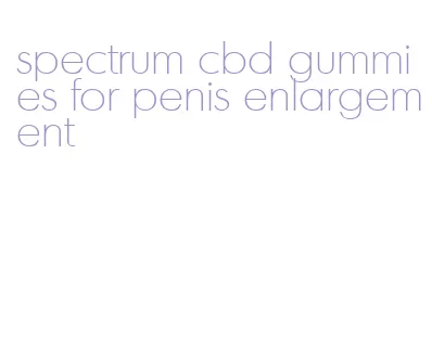 spectrum cbd gummies for penis enlargement
