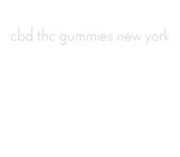 cbd thc gummies new york