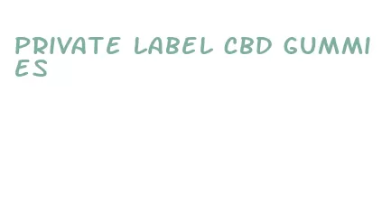private label cbd gummies