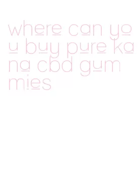where can you buy pure kana cbd gummies