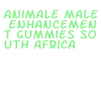 animale male enhancement gummies south africa
