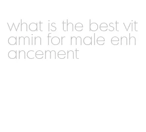 what is the best vitamin for male enhancement