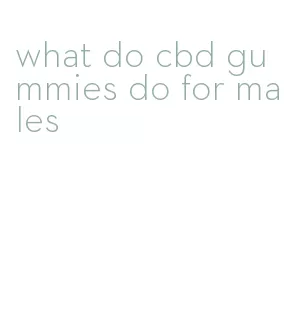 what do cbd gummies do for males