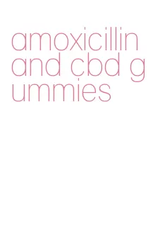 amoxicillin and cbd gummies