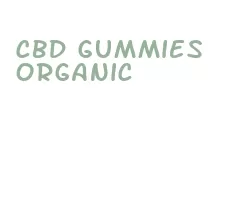 cbd gummies organic