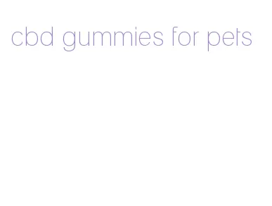 cbd gummies for pets
