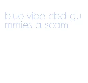 blue vibe cbd gummies a scam