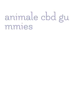animale cbd gummies