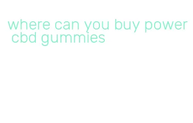 where can you buy power cbd gummies