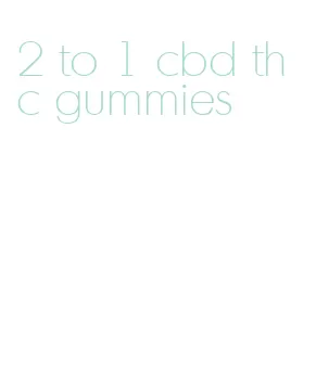 2 to 1 cbd thc gummies