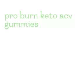 pro burn keto acv gummies