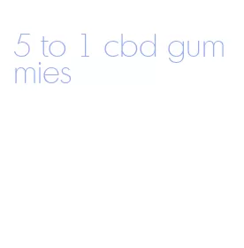 5 to 1 cbd gummies