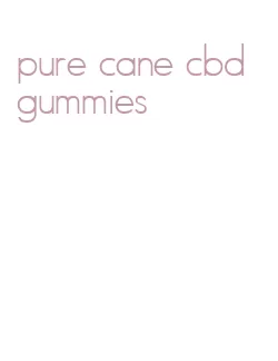 pure cane cbd gummies