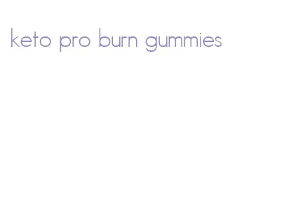keto pro burn gummies