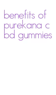 benefits of purekana cbd gummies