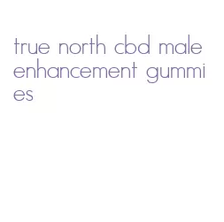 true north cbd male enhancement gummies