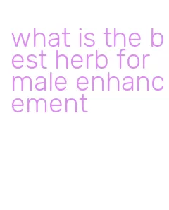 what is the best herb for male enhancement