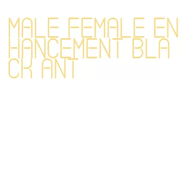 male female enhancement black ant