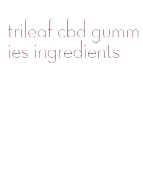 trileaf cbd gummies ingredients