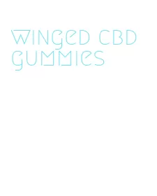 winged cbd gummies