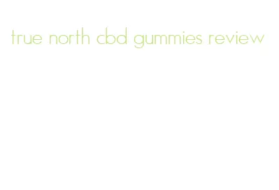 true north cbd gummies review
