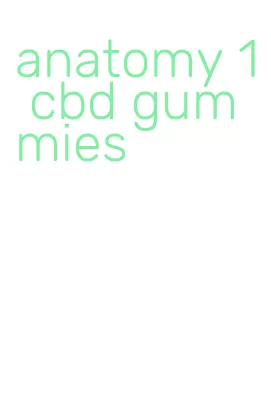 anatomy 1 cbd gummies