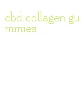 cbd collagen gummies