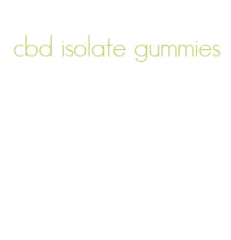 cbd isolate gummies
