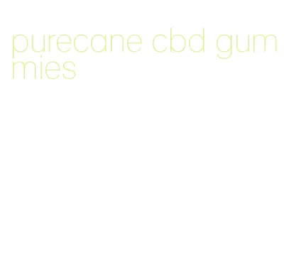purecane cbd gummies