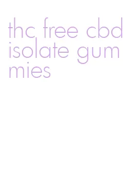 thc free cbd isolate gummies