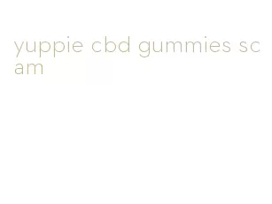 yuppie cbd gummies scam