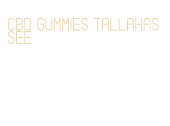 cbd gummies tallahassee