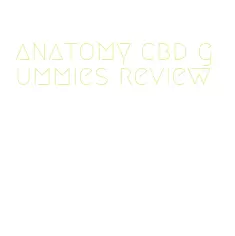 anatomy cbd gummies review