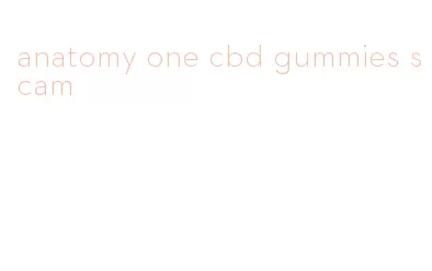 anatomy one cbd gummies scam