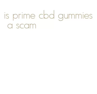 is prime cbd gummies a scam