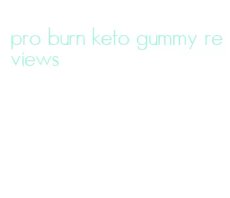 pro burn keto gummy reviews