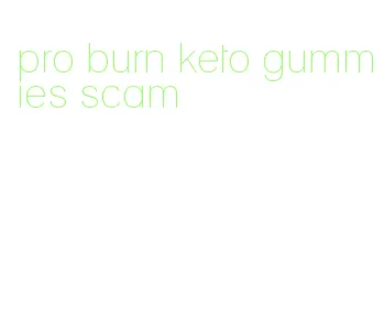 pro burn keto gummies scam