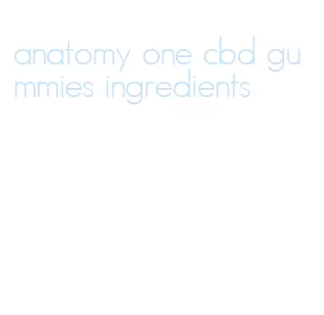 anatomy one cbd gummies ingredients