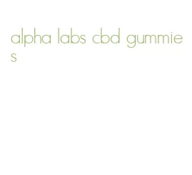 alpha labs cbd gummies