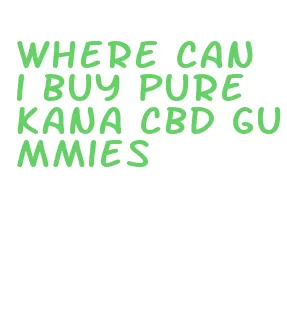 where can i buy pure kana cbd gummies