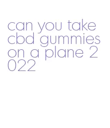 can you take cbd gummies on a plane 2022