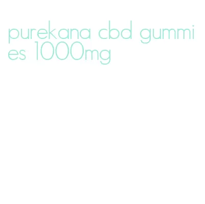 purekana cbd gummies 1000mg