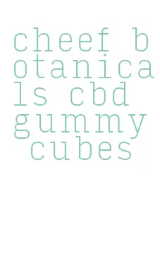 cheef botanicals cbd gummy cubes